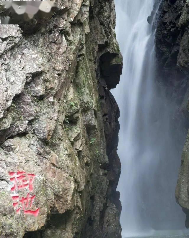 传承巅峰驾趣与赛道基因,福特Mustang Dark Horse打造极致性能盛宴